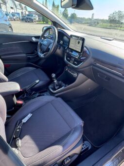 FORD FIESTA VIGNALE pieno