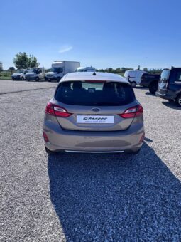 FORD FIESTA VIGNALE pieno