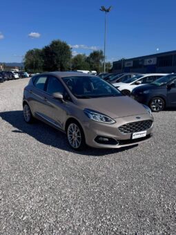 FORD FIESTA VIGNALE pieno