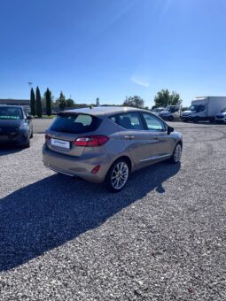 FORD FIESTA VIGNALE pieno