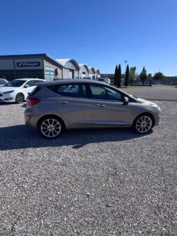 FORD FIESTA VIGNALE pieno