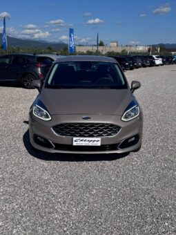 FORD FIESTA VIGNALE pieno