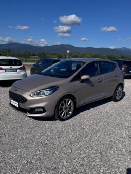 FORD FIESTA VIGNALE pieno