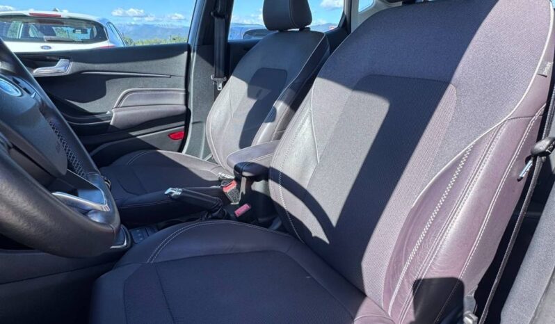 FORD FIESTA VIGNALE pieno