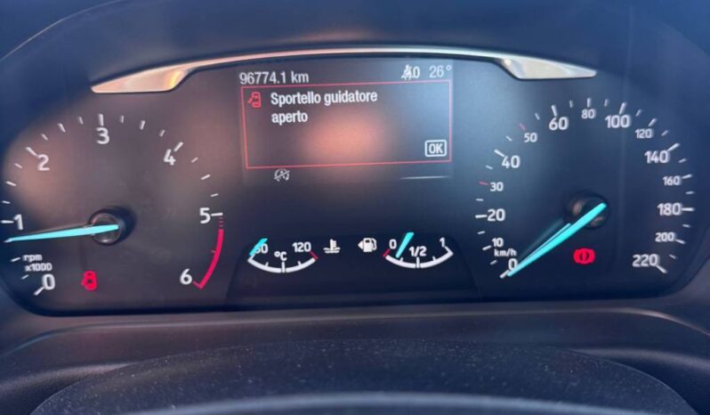 FORD FIESTA VIGNALE pieno