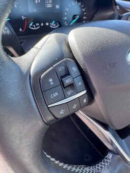 FORD FIESTA VIGNALE pieno