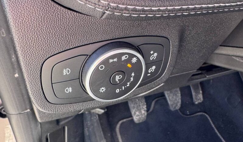 FORD FIESTA VIGNALE pieno