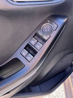 FORD FIESTA VIGNALE pieno
