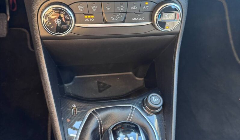 FORD FIESTA VIGNALE pieno