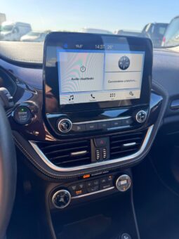 FORD FIESTA VIGNALE pieno